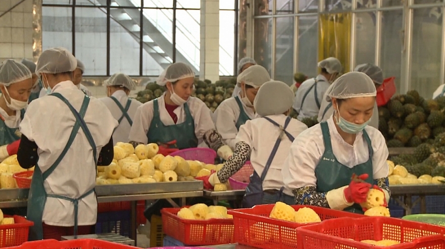 China increases imports of processed fruit and vegetables from Vietnam